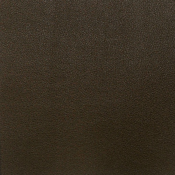 Nassimi SALINGER In Color PEAT VINYL CANVAS | 54 WIDE | BY THE YARD