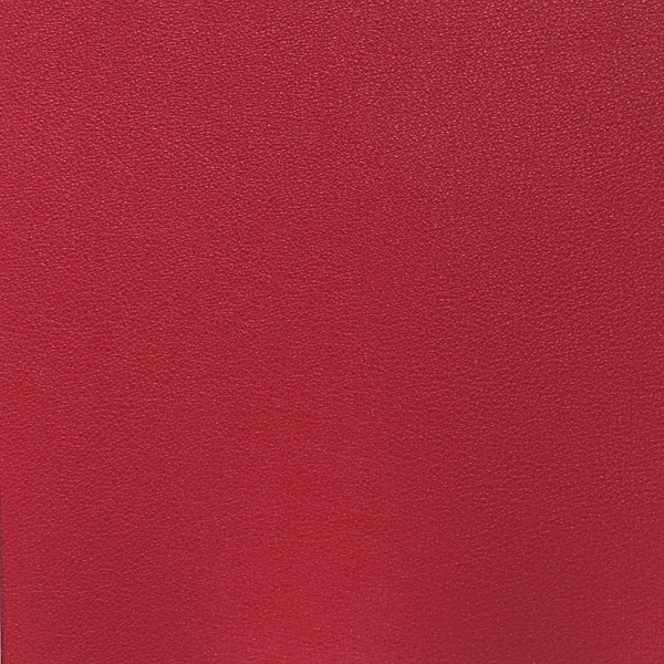 Nassimi SALINGER In Color VALENTINE VINYL CANVAS | 54 WIDE | BY THE YARD