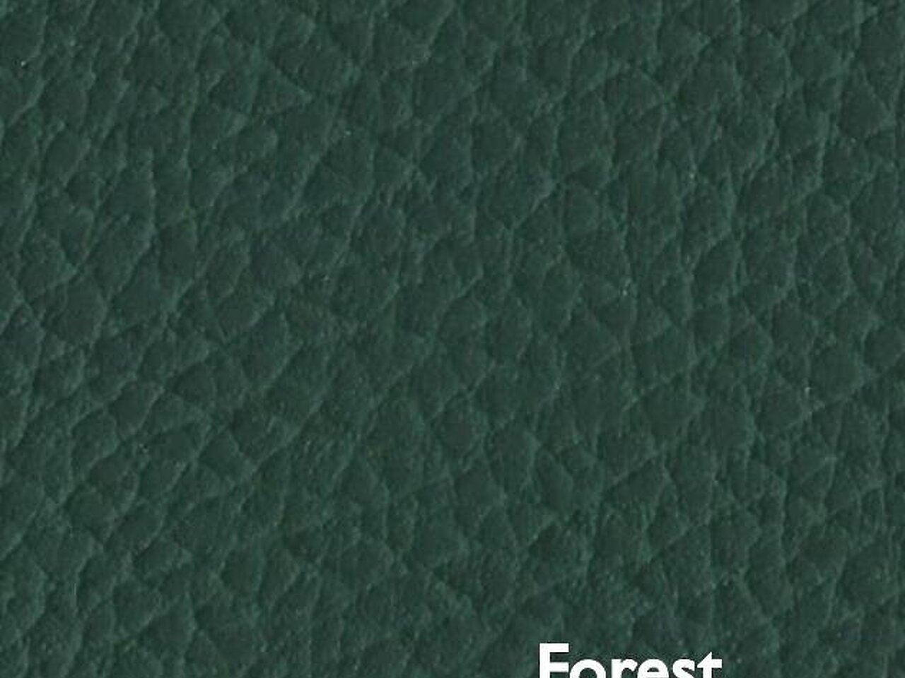Teal Reptile Faux Leather, Outback Sea by Regal Fabrics, Vinyl Upholstery  Fabric, 54 Wide