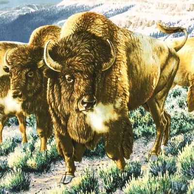 Mountain Buffalo Wall Hanging Panel | Cynthie Fisher | 24 Inch Panel | Quilting Fabric | 100% Cotton | 44 wide | By the Yard 5295