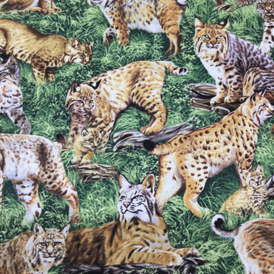 Bobcat | Brown | Green | American Wildlife | Quilting Fabric | 100% Cotton | 44 Wide | By The Yard