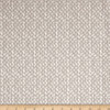 Premier Prints Riverbed Slub Canvas French Grey | Medium Weight Canvas, Duck Fabric | Home Decor Fabric | 54" Wide