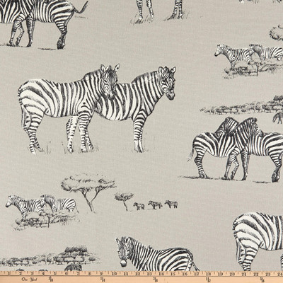 STOF France Zebre Duck Naturel | Medium/Heavyweight Duck Fabric | Home Decor Fabric | 55" Wide