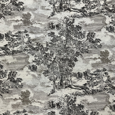 PKL Studio Serene Scenes Duck Zinc | Medium Weight Duck Fabric | Home Decor Fabric | 54" Wide