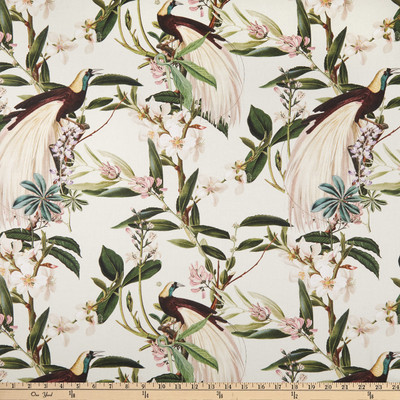 Creme STOF France Paradisier Sateen Duck Creme | Medium Weight Duck, Sateen Fabric | Home Decor Fabric | 55" Wide