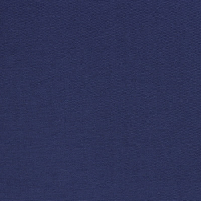 2 Yard Piece of Richloom Solarium Outdoor Veranda Navy | Lightweight Outdoor Fabric | Home Decor Fabric | 54" Wide