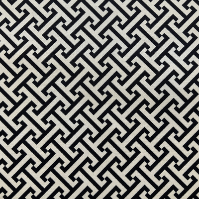 Cross Section in Blackbird | Home Decor Fabric | Black / Off White | Drapery | 54" Wide | By the Yard