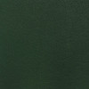 Nassimi SALINGER In Color BOTTLE GREEN VINYL CANVAS | 54 WIDE | BY THE YARD