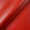 Nassimi SALINGER In Color GOJI VINYL CANVAS | 54 WIDE | BY THE YARD