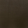 Nassimi SALINGER In Color PEAT VINYL CANVAS | 54 WIDE | BY THE YARD