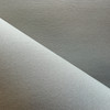 Sunbrite FK Lt Dune 60" Foam Backed Headliner And Sew Foam | Sold By the Linear Yard | FK4207