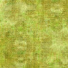 Halcyon Brushed Tonal 12HN-19 Lime by In The Beginning | Per Half Yard