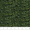 Northcott Naturescapes 25499-79 Spruce Trees Dark Green | Per Half Yard
