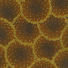 Robert Kaufman Autumn Fields SRKM 21576-323 Walnut Metallic| Per Half Yard