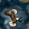 QT Fabrics Eagle Dreams 29972 -N Eagle Vignettes | Per Half-Yard