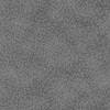 QT Fabrics Spotsy Dot Blender 29912-K Grey | Per Half-Yard