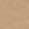 QT Fabrics Spotsy Dot Blender 29912-EK Light Brown | Per Half-Yard