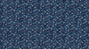 Northcott Stars and Stripes 12 | Stars Navy Multi 27015-49 | Per Half Yard