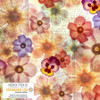 Stof Fabrics - Wistful Blooms 4504-095 Multi Pressed Flowers Antique Text | SOLD BY THE HALF-YARD