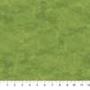 Northcott Toscana Blender 9020-731 Aloe Vera Green | SOLD BY THE HALF-YARD