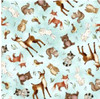 QT Fabrics | Sew & Go XVII: Tossed Animals 28999-Q  | Per Half Yard