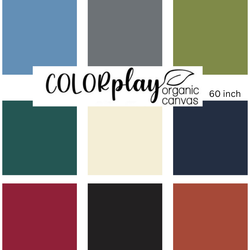 Colorplay Organic Canvas 60inch by QT Fabrics