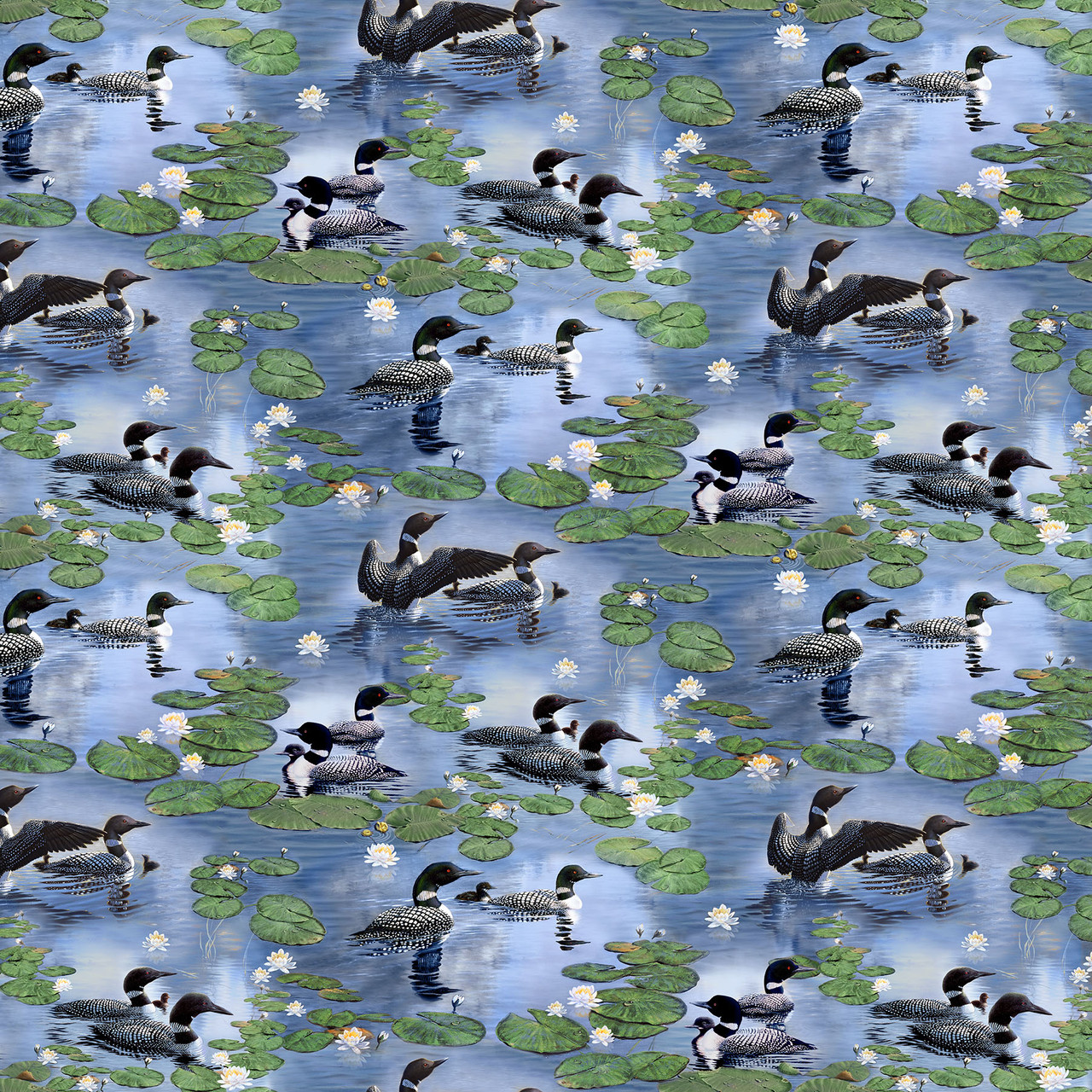 Northcott Naturescapes Still Waters Loons DP26792-44 Blue