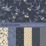 Bluebird's Nest from Kansas Troubles Quilters