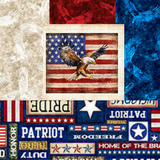 Patriot Fabrics by QT Fabrics