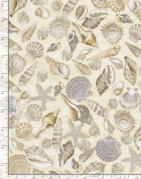 Timeless Treasures Beach Shells BEACH C5353 | Per Half Yard