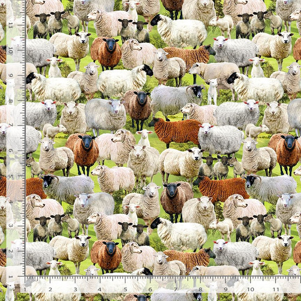 Timeless Treasures Red Farm Gingham CD 1539 Digitally Printed