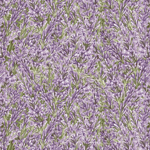 Lavender Garden 9873-56 Packed Lavender by Henry Glass - Per Half Yard