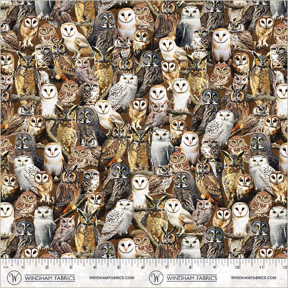 Windham Fabrics Wildlife 55032D-1 Observant Owls Multi | SOLD BY THE HALF-YARD