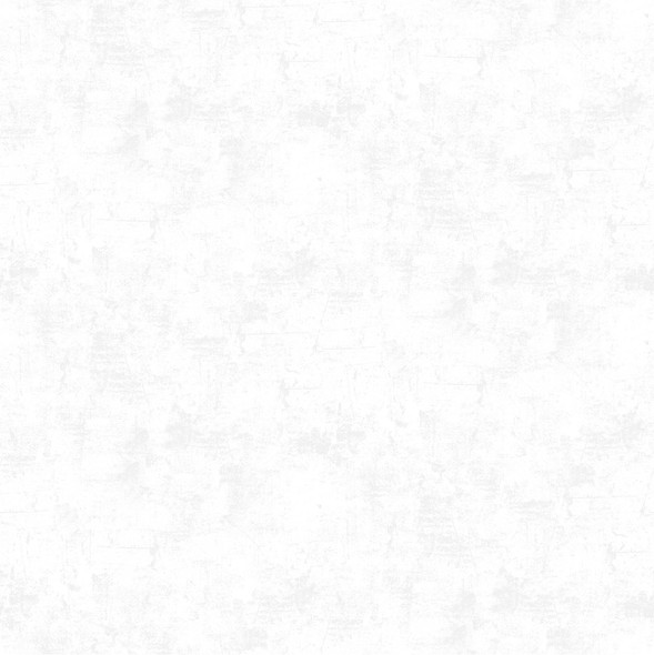 Northcott Canvas Tonal 9030-10 Whitewash | SOLD BY THE HALF-YARD