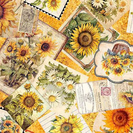 Sunflower Serenade by QT Fabrics 31802-O Sunflower Ephemera Orange | SOLD BY THE HALF-YARD