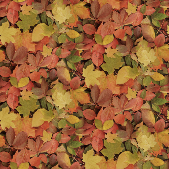2026 All New England Shop Hop Fabric 52112D-X Landscapes Autumn Splendor | SOLD BY THE HALF-YARD