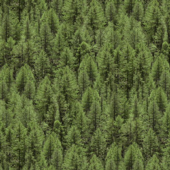 2026 All New England Shop Hop Fabric 52115D-X Landscapes Evergreen | SOLD BY THE HALF-YARD