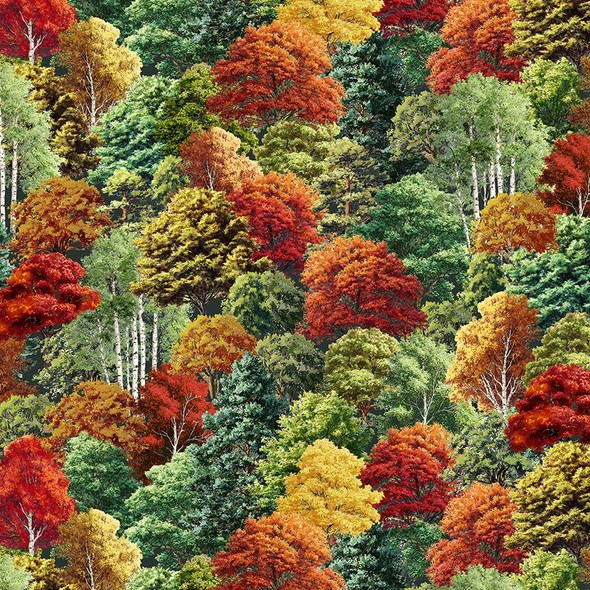2026 All New England Shop Hop Fabric 55472D-1 Landscapes Changing Foliage | SOLD BY THE HALF-YARD