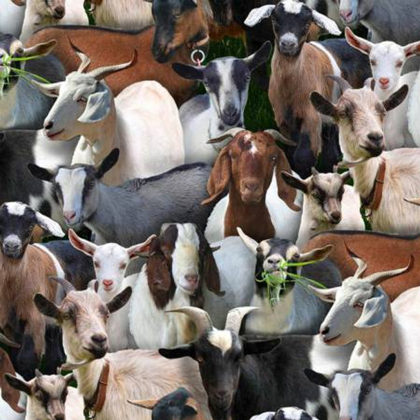 Elizabeths Studio Farm Animals Goats 434 Black | Per Half Yard