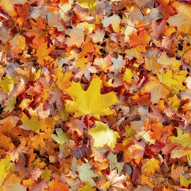 fall leaves fabric