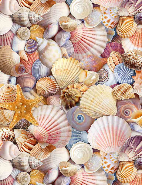 Timeless Treasures Assorted Packed Beach Shells BEACH C8460 | Per Half Yard