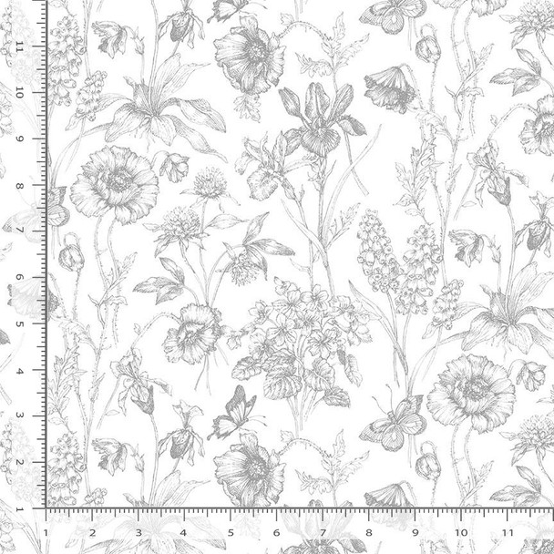 Timeless Treasures Graphite FLEUR CD1812 White Butterscup Floral Sketch Toile | Sold By Half-Yard