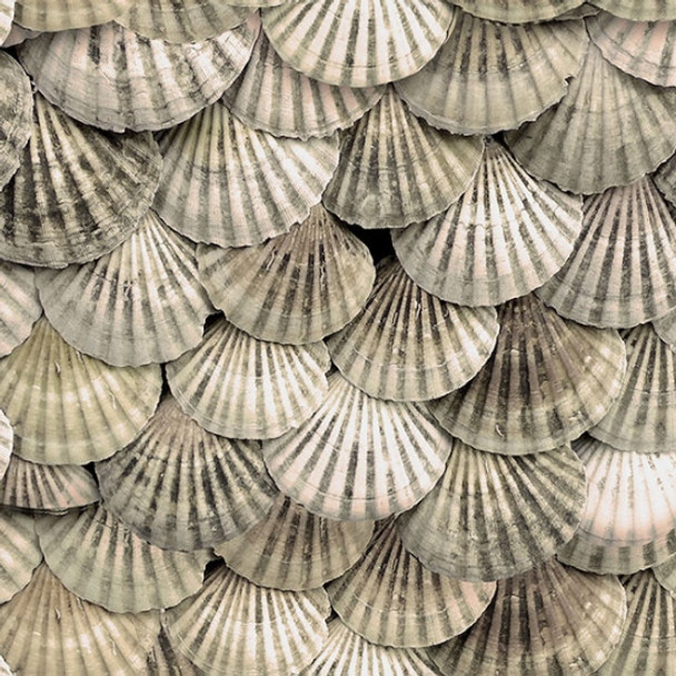 Hoffman All Hands on Deck Seashells Shells U5149-546 Digital | PER HALF YARD