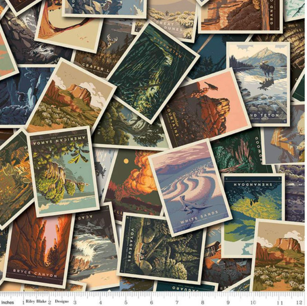 Riley Blake National Parks Postcards Tossed Multi CD13290-MULTI | Per Half Yard