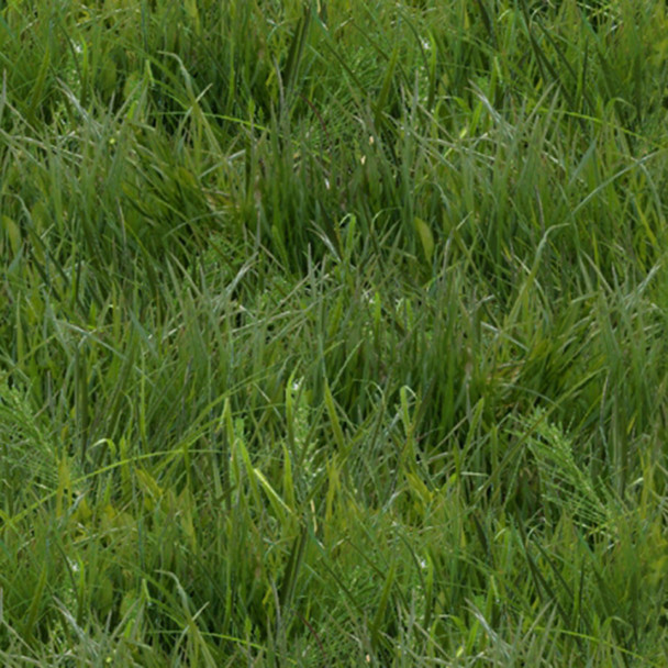 Elizabeths Studio Landscape Medley Green Grass 250-GRN | Per Half Yard