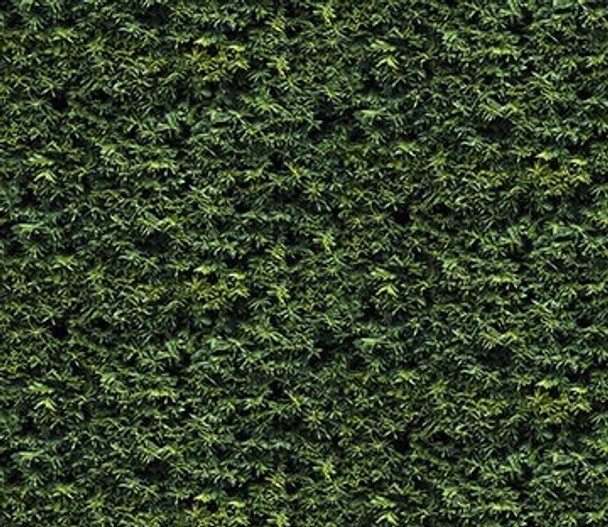 Northcott Naturescapes 25499-79 Spruce Trees Dark Green | Per Half Yard