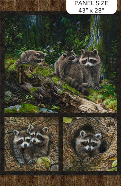 Northcott Little Rascals Naturescapes PANEL Raccoons Little Rascals Brown Multi DP25510-36