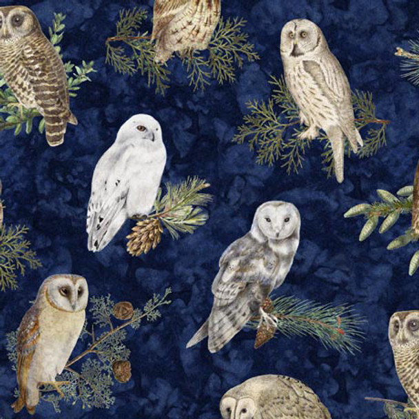 QT Fabrics | Winterhaven by Dan Morris 29899-N Owls Fabric | Per Half-Yard