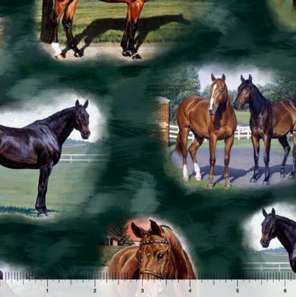 QT Fabrics Horse Country 30195-F Horse Vignettes Hunter Green | Per Half-Yard
