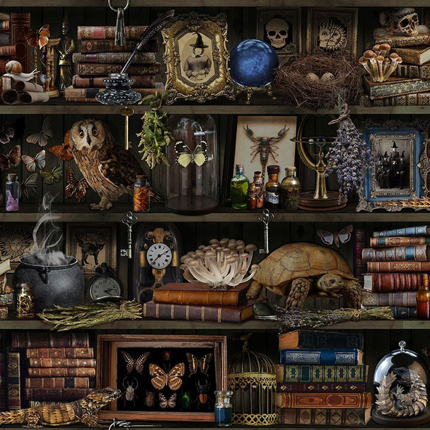 Timeless Treasures Mad Scientist Witch Apothecary Book Shelf LIBRARY-CD2877 BROWN| SOLD BY THE HALF-YARD